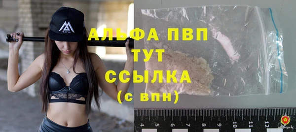 хмурый Абаза