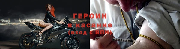 хмурый Абаза