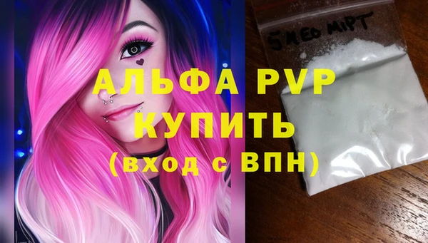 хмурый Абаза