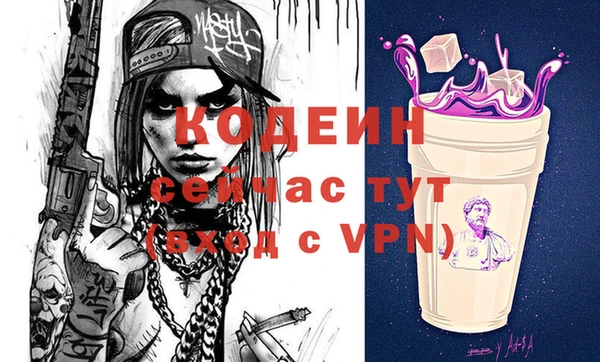 хмурый Абаза