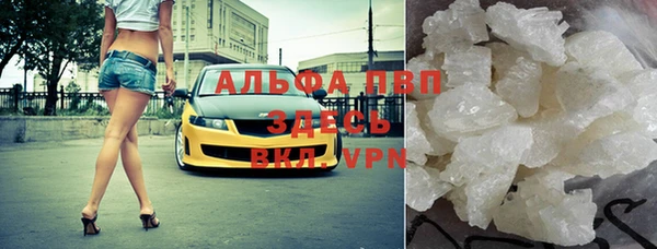 хмурый Абаза