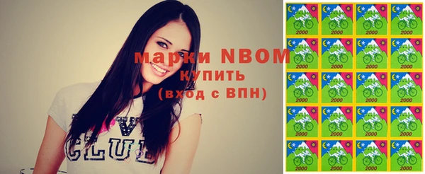 хмурый Абаза